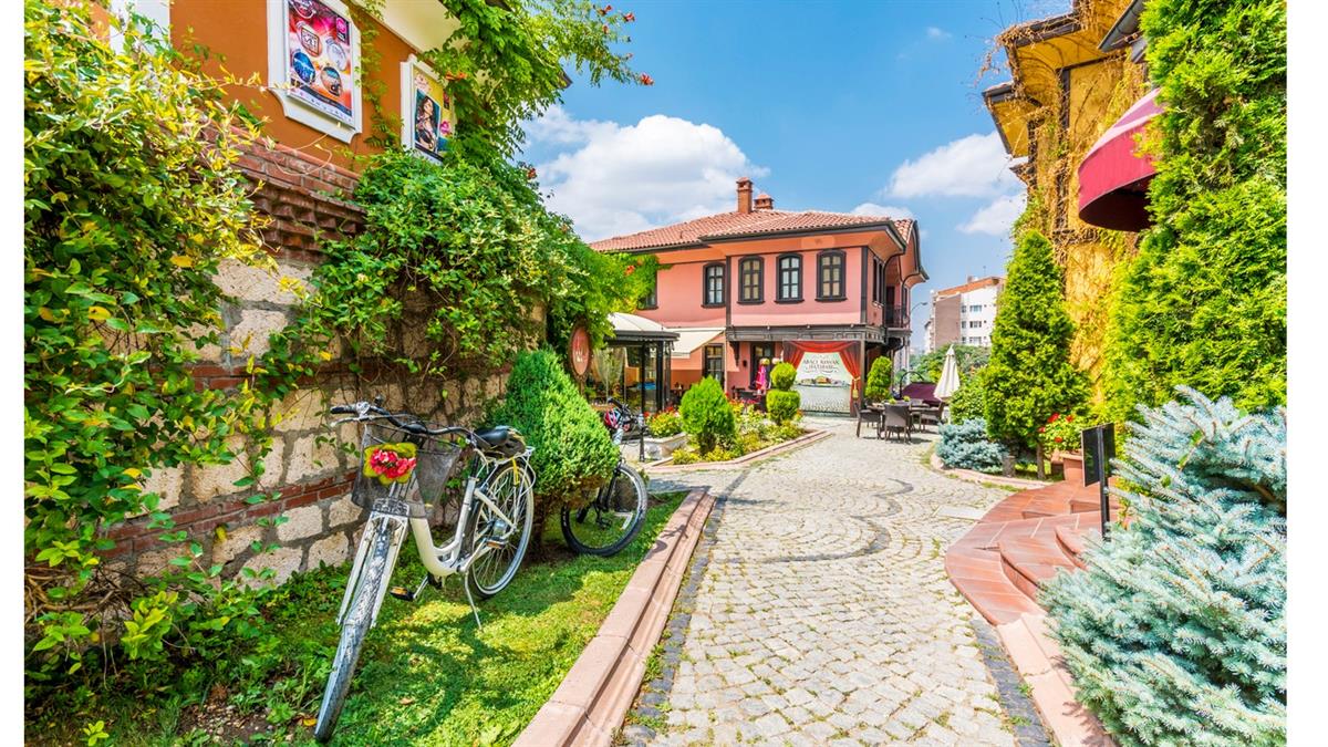 Günübirlik turlar